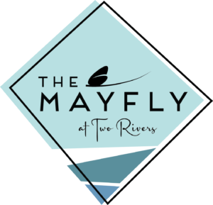 The Mayfly Salida